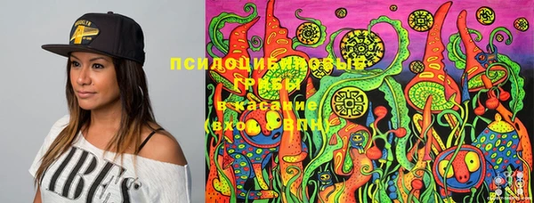 Альфа ПВП Аркадак