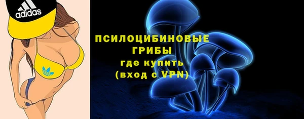 не бодяженный Алзамай