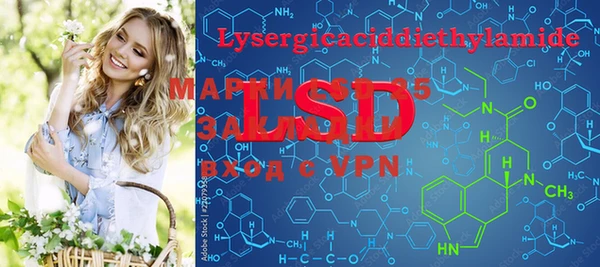 PSILOCYBIN Алексеевка