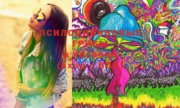 PSILOCYBIN Алексеевка