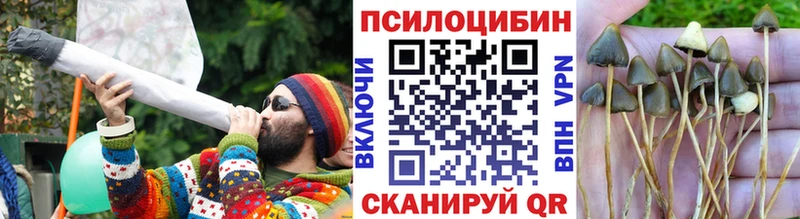 закладка  гидра   Галлюциногенные грибы прущие грибы  Козловка 